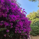 Apartment Mazet Aux Issambres - A 3min A Pied Saint-Peïre-sur-Mer