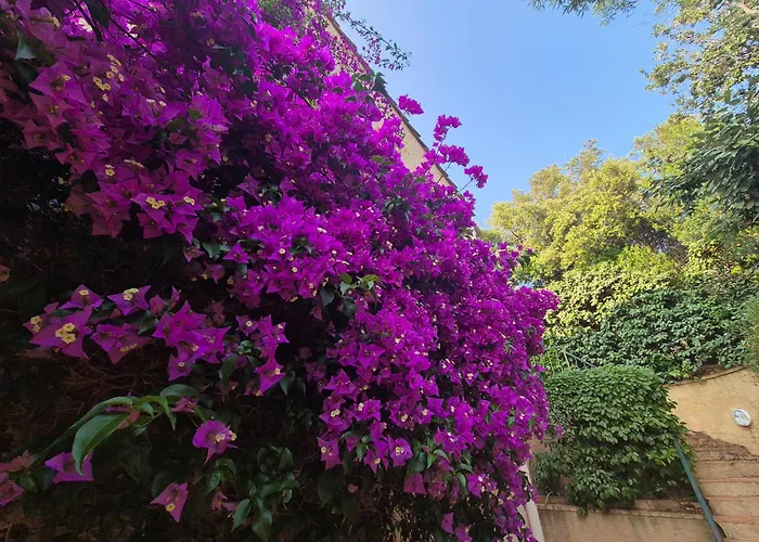 Appartamento Mazet à 250m De La San Peire Aux Issambres Saint-Peïre-sur-Mer